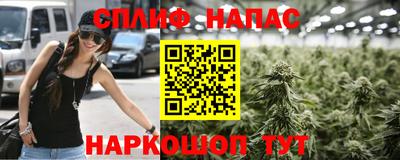 бошки Бийск